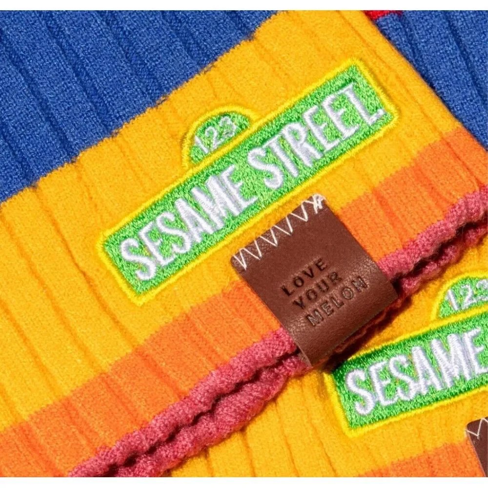 NEW Sesame Street X Love‎ Your Melon Beanie Lightweight Colorblock